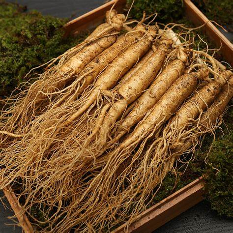 仲禾中医服务展示