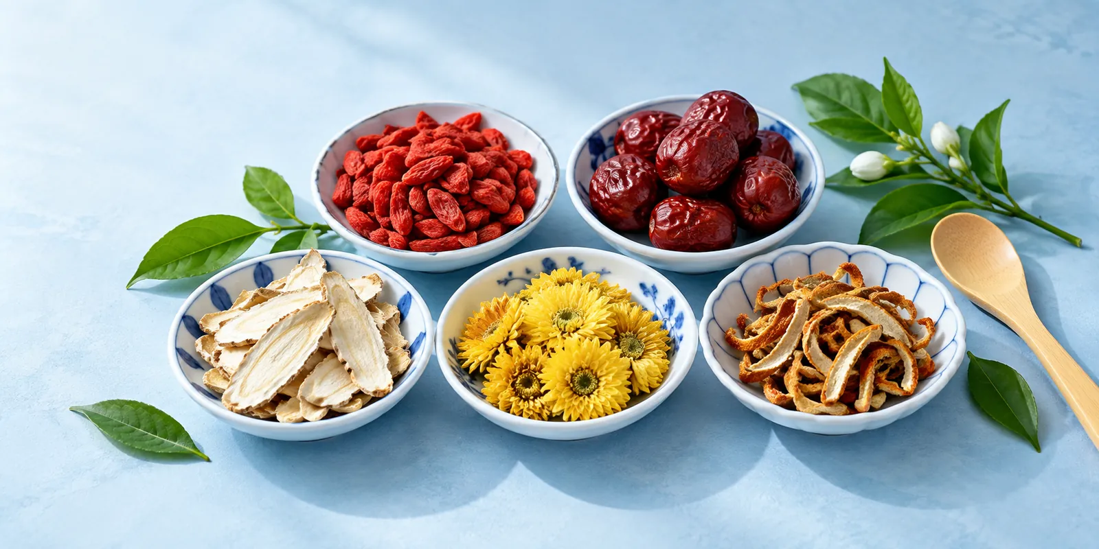 Herbal selection illustration with red dates, goji berries, root slices and chrysanthemum